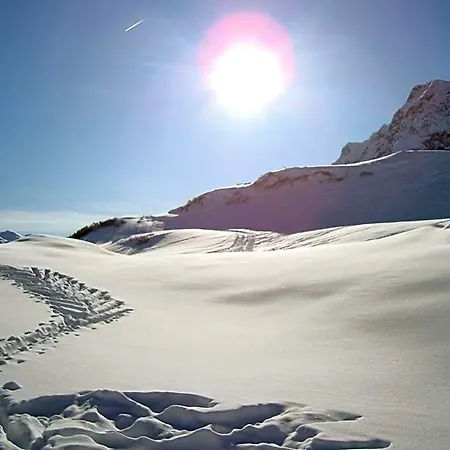 Edelweiss